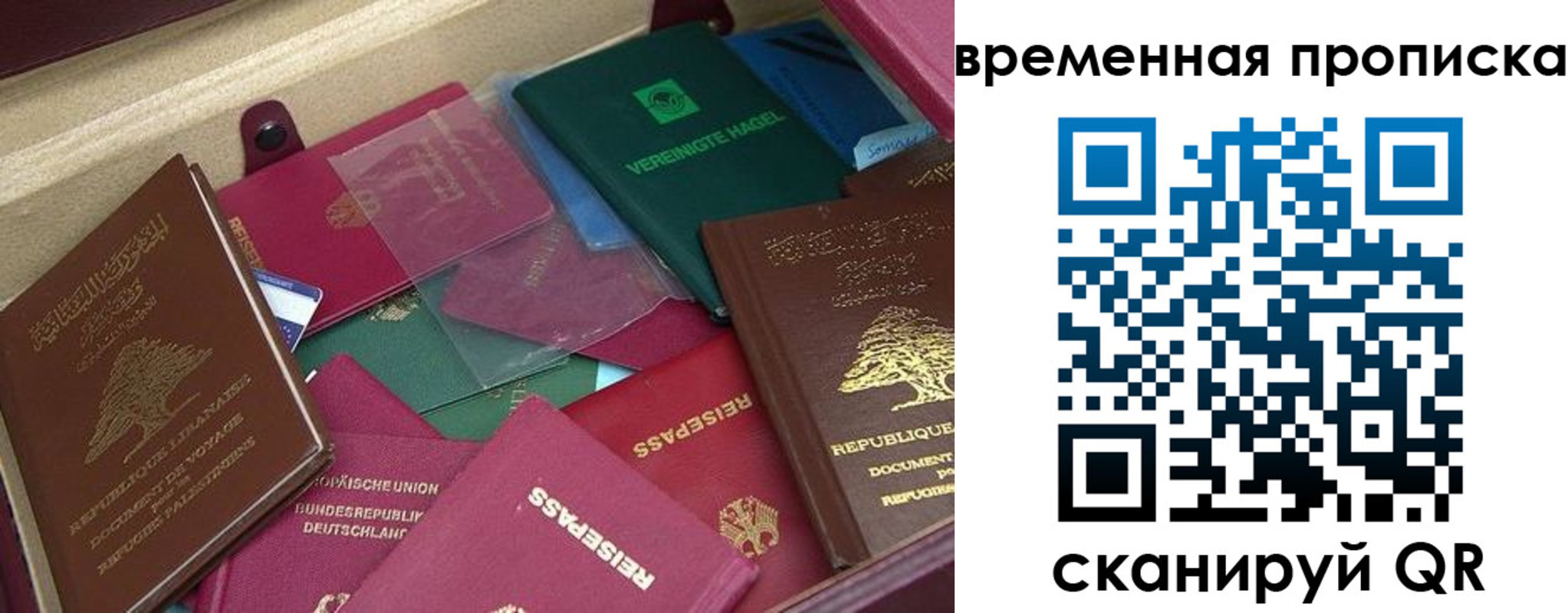 прописка в Ясном